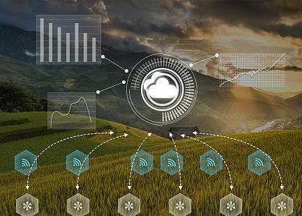 赫章松林坡乡:年产蔬菜3万余吨 多元化种植助力产业振兴