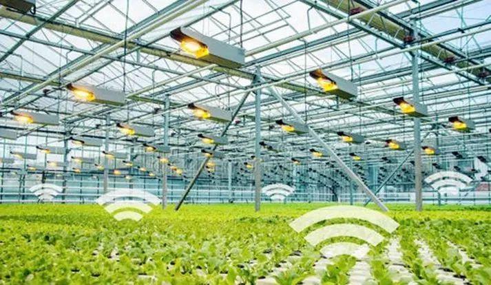 【农业科技】现代农业新发展 - 智慧农场