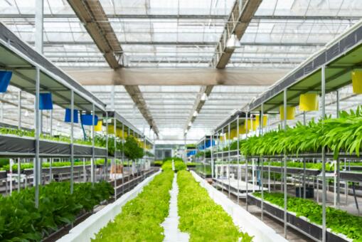 【十九大时光】农业科技创新助力西藏民生改善