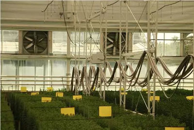 高精尖的农业之道--考察北京现代农业园区纪实