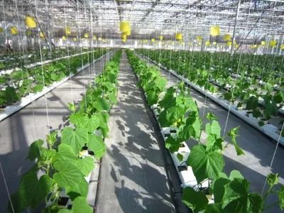 农业也有高新技术产业？国家如何推动农业科技创新