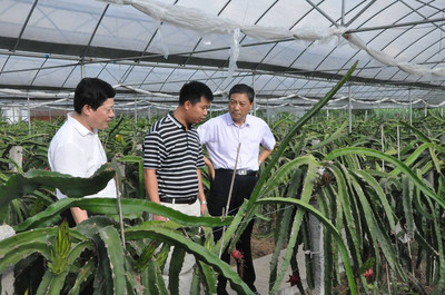 省农业厅厅长胡汉平一行在芦溪调研_财经_网