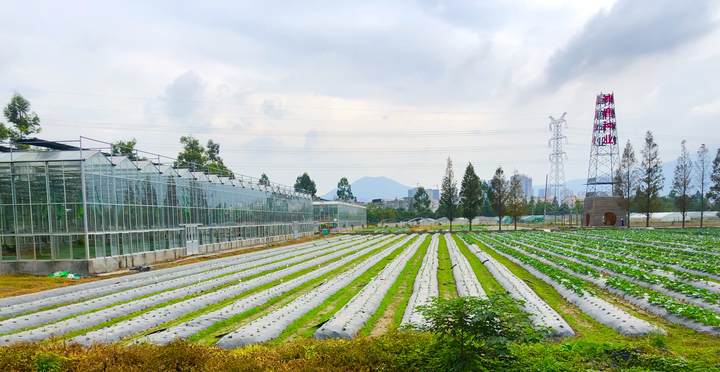 温州“双强行动”驱动农业提质增效 容业科技精准发力