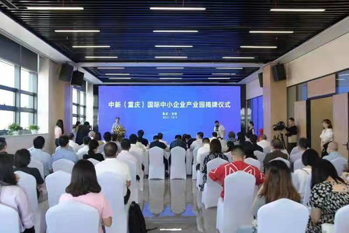 中新重庆国际中小企业产业园揭牌成立，容业科技迎来发展新契机